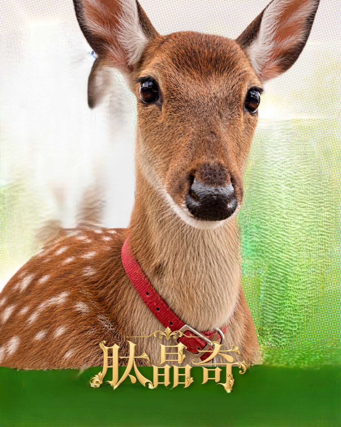星夢森林劇場跨界攜手「肽晶奇」四大動物明星化身保養大使萌翻美妝圈