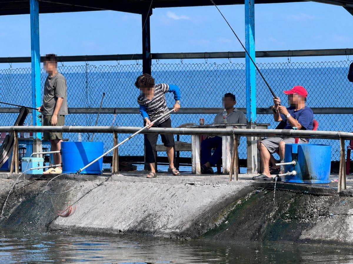 走進新北八里海釣場 考驗釣客看標技巧與搏魚技術 感受純海水池釣大物試煉場