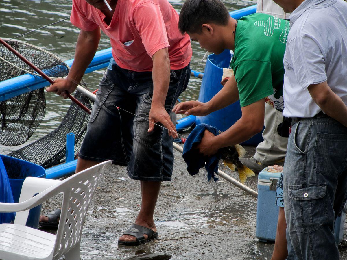 走進新北八里海釣場 考驗釣客看標技巧與搏魚技術 感受純海水池釣大物試煉場