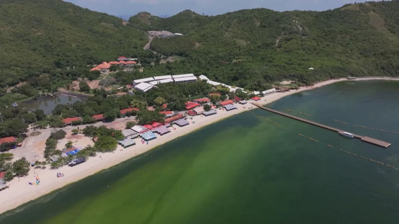 豪雨、聖嬰現象致浮游生物爆發 泰國格蘭島海域轉螢光綠色
