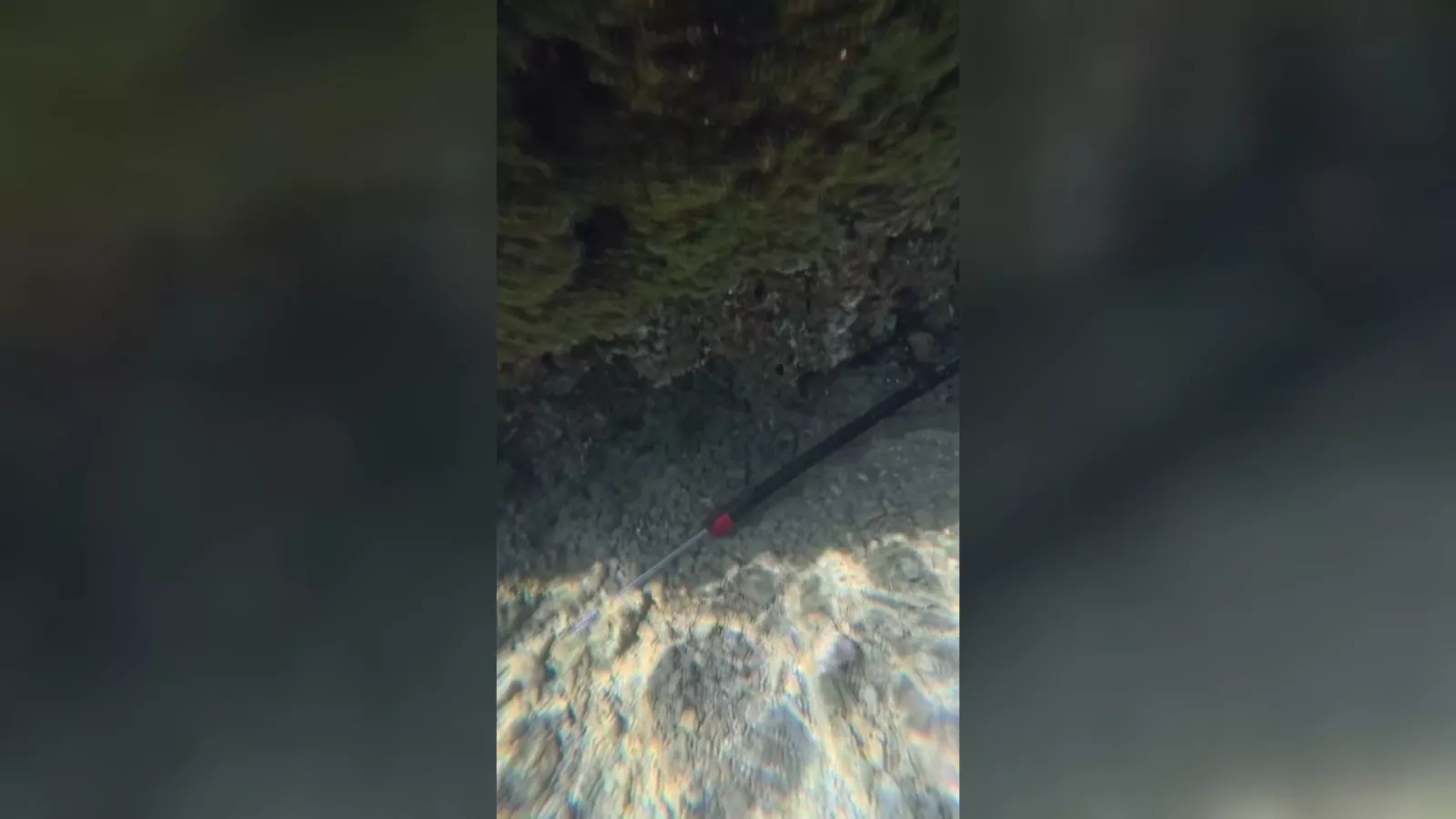 後壁湖海底發現魚槍藏匿疑盜獵 墾管處函請警方偵辦