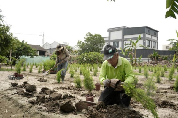 馬太鞍堰塞湖溢流將屆週年 民團與企業助花蓮光復農地復耕