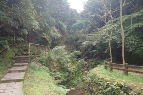 台北四獸山秘境：漫步豹山溪步道與永春埤濕地公園