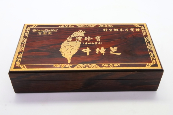 珍稀牛樟芝跨界保養 森林紅寶石能量注入日常護理 打造澄澈美新時代