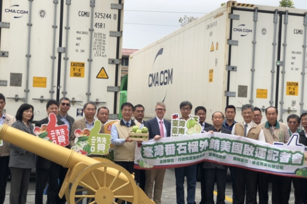 臺南芒果、芭樂成功叩關歐盟！臺南市府與中央攜手拓展農產外銷新局