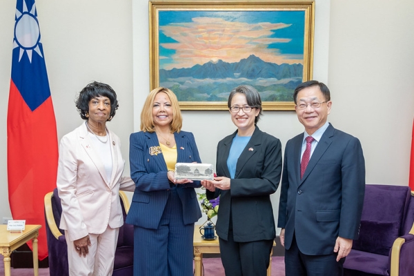 蕭美琴副總統接見美國聯邦眾議院訪團　強化民主合作共同捍衛民主自由價值