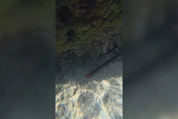 後壁湖海底發現魚槍藏匿疑盜獵 墾管處函請警方偵辦
