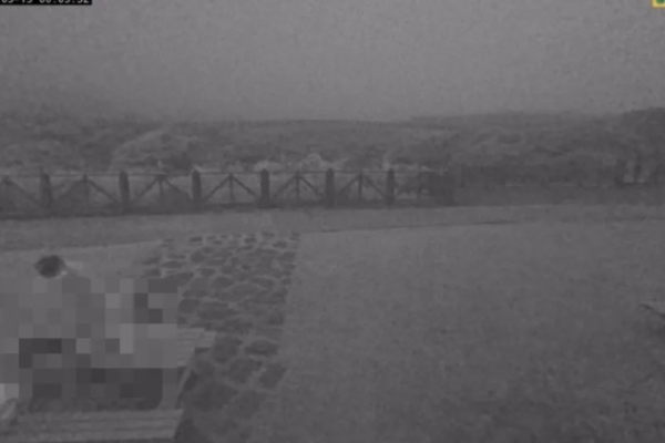擎天崗即時影像驚爆公共直播事故「公然猥褻直播事件」延燒　情侶身分遭鎖定 士林分局介入偵辦