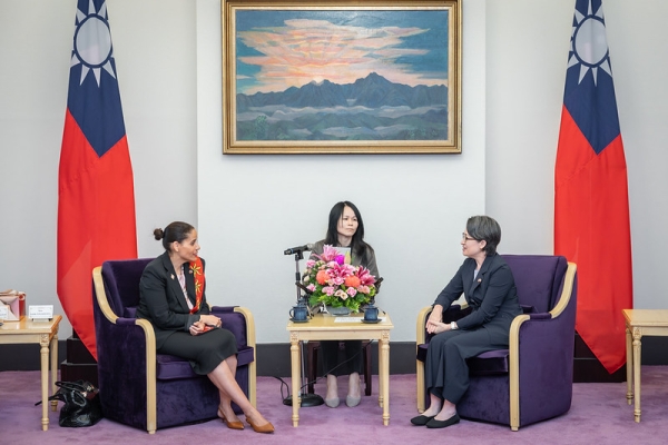 蕭美琴副總統接見法國國民議會訪團　盼持續深化臺法各領域合作及夥伴關係並拓展AI交流