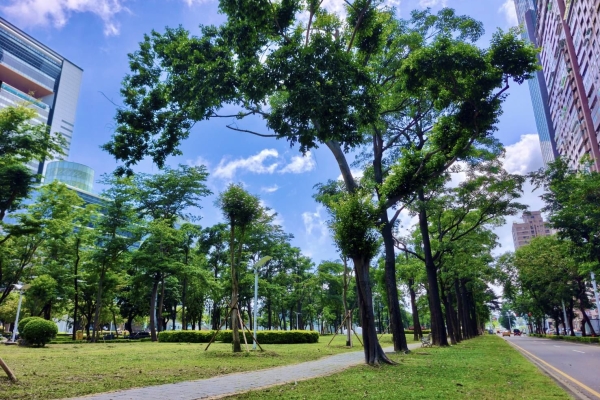 颱風重創後重生！高雄市亞灣新光園道改善8月完工　休閒與景觀全面升級亮點曝光