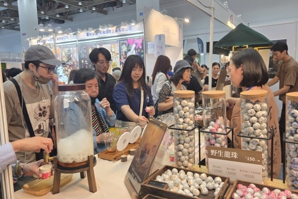 中臺灣會展經濟全面起飛！臺中國際會展中心137萬人次帶動650億元商機創新高