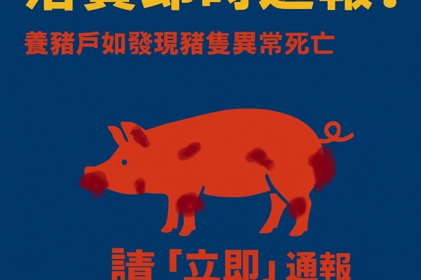 防堵非洲豬瘟入侵 臺南市跨局處動員五大防線阻絕　黃偉哲下令全面戒備