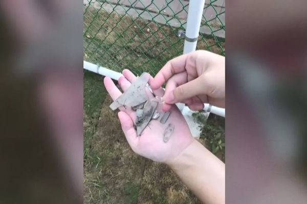 民眾控草皮碎玻璃釀愛犬受傷 彰化寵物公園公告暫停開放