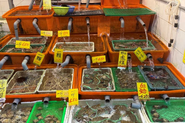 新北萬里蟹季進入尾聲 龜吼漁夫市集邀民眾把握最後品蟹機會 體驗秋冬海鮮盛宴