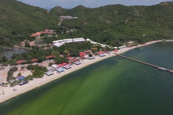 豪雨、聖嬰現象致浮游生物爆發 泰國格蘭島海域轉螢光綠色