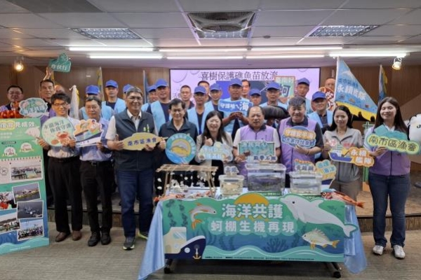 海洋共護行動見成果！臺南安平蚵棚海域生機再現　白海豚現蹤震撼紀錄